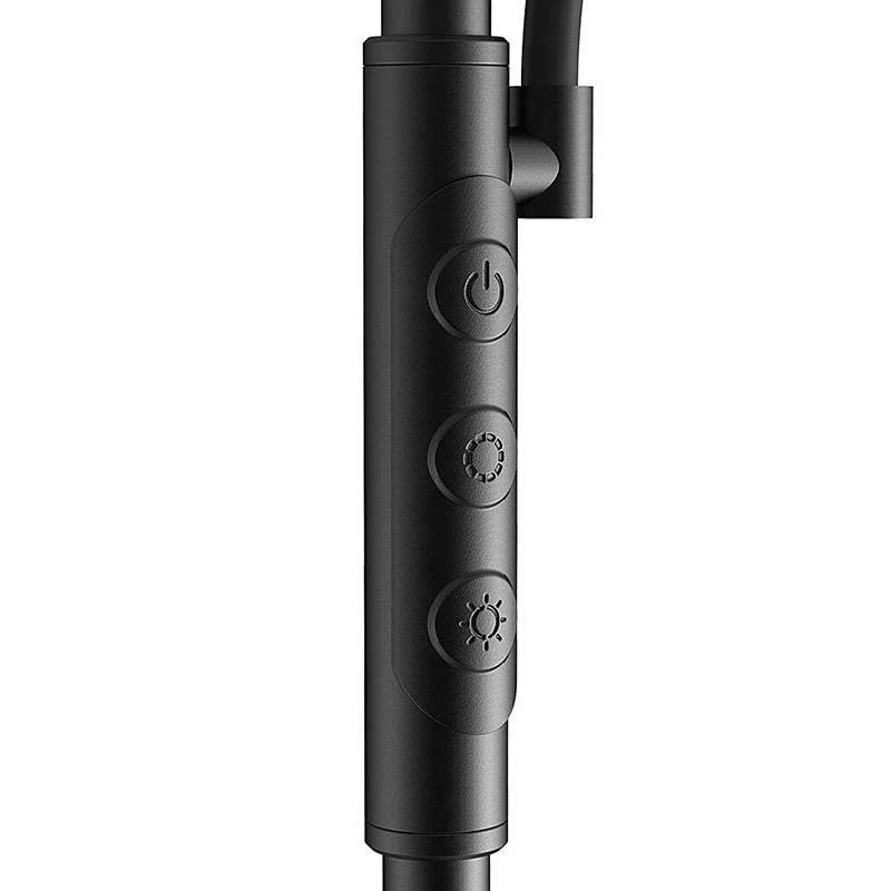 BLITZWOLF dubbele vloerlamp met afstandsbediening BlitzWill BWL-FL-0001, 36W (zwart)