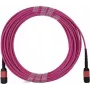 BlueOptics Infortrend 9370FC40GCAB1-0030 MPO-MPO multimode OM4 patchkabel 2 meter