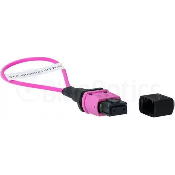 BlueOptics loopback-adapter MPO/MTP multimode OM4