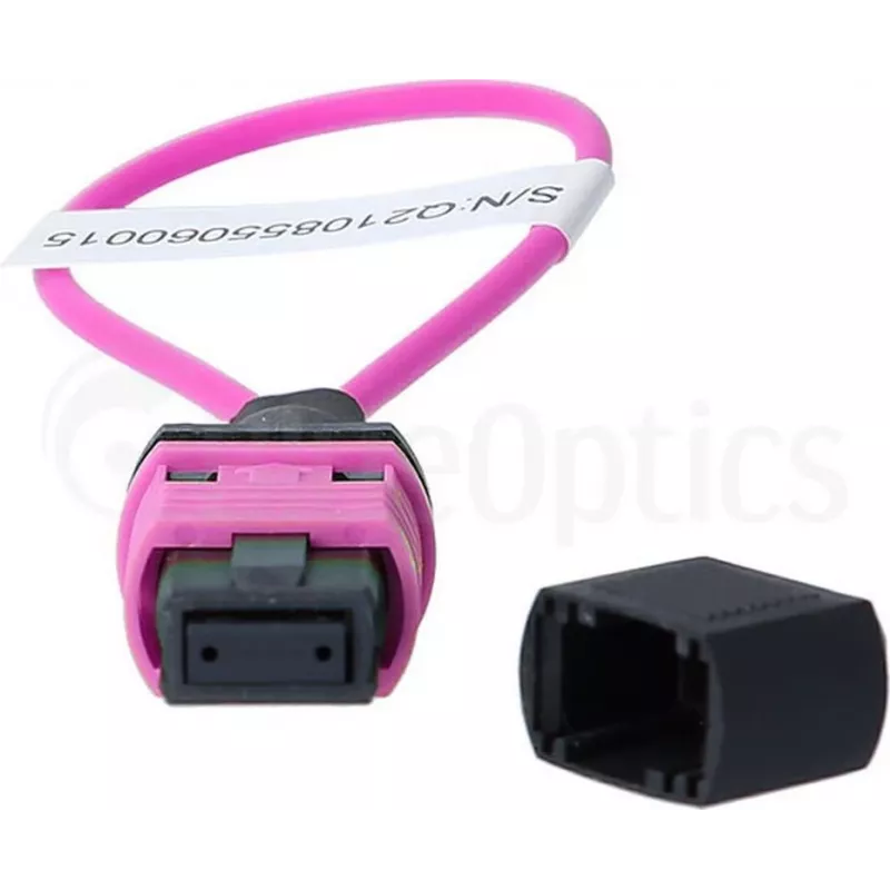 BlueOptics loopback-adapter MPO/MTP multimode OM4