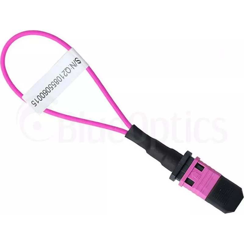 BlueOptics loopback-adapter MPO/MTP multimode OM4
