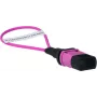 BlueOptics loopback-adapter MPO/MTP multimode OM4
