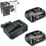 Bosch 18V Starter Set 2 x 2,5 Ah accu's + AL 18V-44 oplader (1600A031T5)