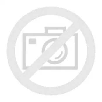 Bosch GMM 1-15 vochtmeter 601078200