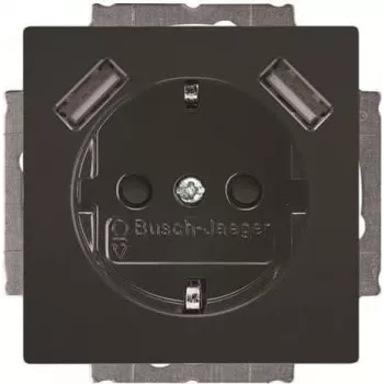 BUSCH-JAEGER BJ 20 EUCB2USB-81 SCHUKO stopcontact met 2 USB-aansluitingen, alpinwit 2CKA002011A6267