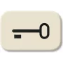 BUSCH-JAEGER taster symbool Key wip 2520 2525TR Duro 2000 SI 2525TR (1433-0-0440)
