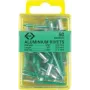 C.K Tools T3819A 508 blindklinknagels 4,8 x 19 mm aluminium/staal bolkop (50 stk.)