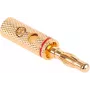 CABLETECH vergulde bananenstekker luidsprekerstekker met schroefklem - 4mm