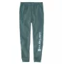 Carhartt Graphic Jogger joggingbroek