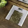 Cecotec Personenweegschaal Surface Precision Healthy Maximaal gewicht 180 Grijs/Transparant