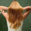 Cecotec Haardroger IoniCare Dry&Keratin Olive 1200 W Ionenfunctie 1 temperatuurstand Groen