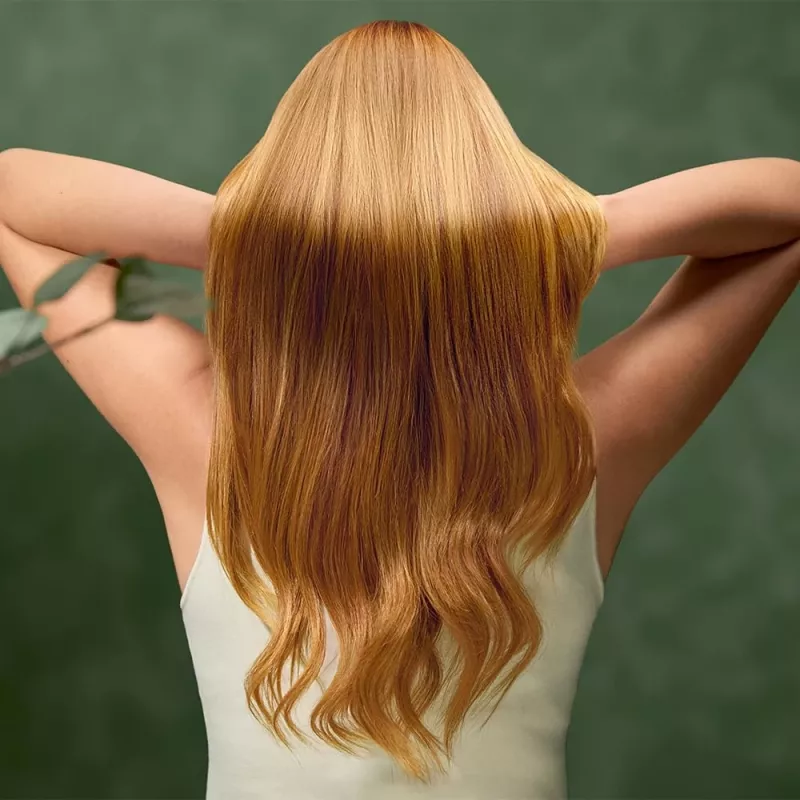 Cecotec Haardroger IoniCare Dry&Keratin Olive 1200 W Ionenfunctie 1 temperatuurstand Groen