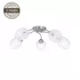 Plafondlamp CL17061-5 5x60W E27