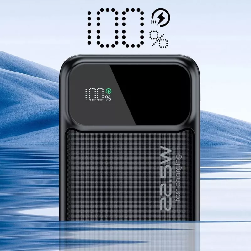 CHOETECH Powerbank 30000 mAh Zwart