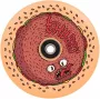 Chubby Wheel 110mm Burger Boy scooterwiel - 88A urethaan, aluminium kern