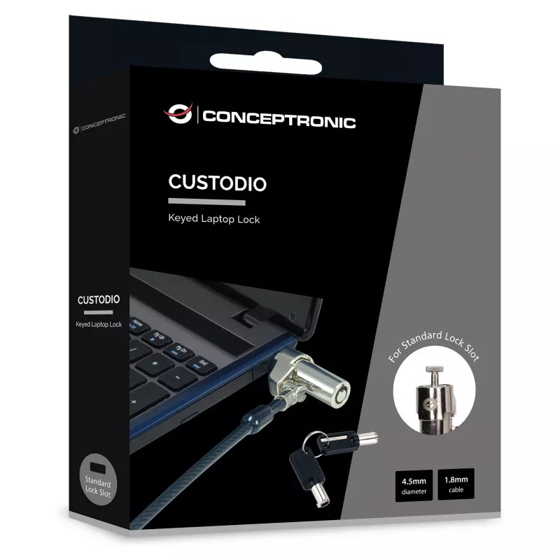 Conceptronic NBT notebookslot met sleutel Standard 1,80m