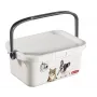 CURVER Multiboxx 3L opbergbox met deksel en handgreep, katten- & hondendesign, transparant met print, 26x18x11cm