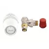 Danfoss RA-N thermostatknop en ventiel DN15