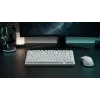 Dark Project ALU81A Terra Nova White mechanisch toetsenbord, G3MS Moonstone Switch, US ANSI
