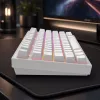 Dark Project Terra Nostra G3MS Moonstone Switch, RU wit