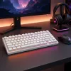 Dark Project Terra Nostra G3MS Moonstone Switch, RU wit