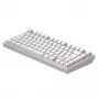 Dark Project Terra Nostra G3MS Moonstone Switch, RU wit