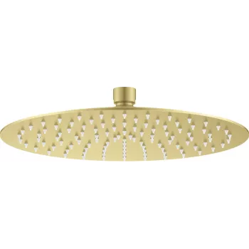 DEANTE ronde douchekop van RVS 250 mm