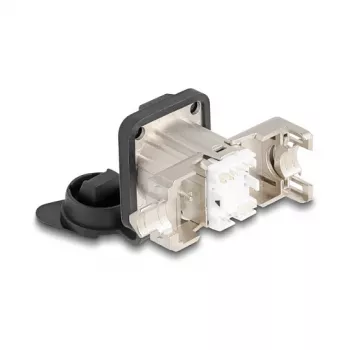 Delock D-type RJ45 inbouwbus Cat.6A STP met LSA-aansluiting en IP66-beschermkap