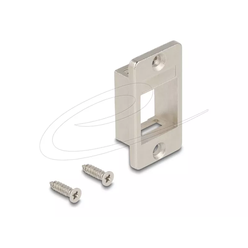 Delock keystone houder voor behuizing en paneelmontage conisch