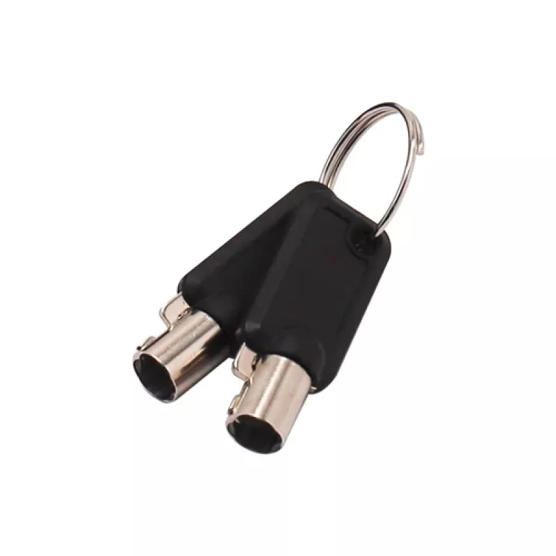 DICOTA Ultra Slim V2 - sleutel voor kabelslot - zwart (2 stuks)