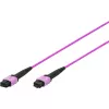 DIGITUS OM4 MPO naar MPO 12-vezel patchkabel, 2m, methode A, violet DK-2566-02/4