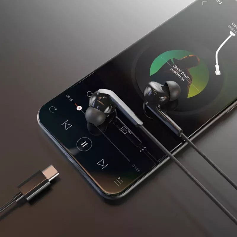 DUDAO Hi-Fi X3C+ bedrade in-ear-koptelefoon met microfoon, 1,2 m, zwart