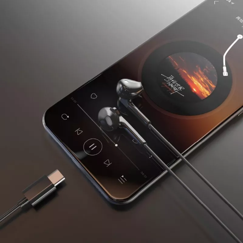 Dudao X3C in-ear bedrade USB-C hoofdtelefoon 1,2m - zwart