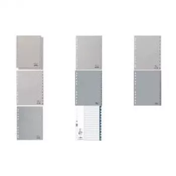 DURABLE A4 genummerde registerbladen 1-31, 31-delig, gegraveerde meerkleurige tabbladen, grijs polypropyleen, universele perforatie 675627