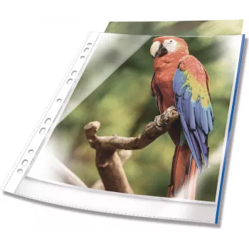 DURABLE A4 documenthoezen met opening boven, kristalhelder, met rode bindstrook, 100 micron, 25-pack 265503