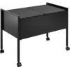 DURABLE ECONOMY DUO 100 A4 hangmapwagen met 100 bestandscapaciteit, twee rijen, stalen frame, 4 zwenkwielen, zwart 308201