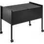 DURABLE ECONOMY DUO 100 A4 hangmapwagen met 100 bestandscapaciteit, twee rijen, stalen frame, 4 zwenkwielen, zwart 308201