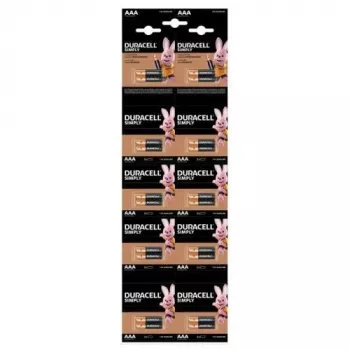 DURACELL Basic AAA Alkaline Batterij LR03 1,5V Blisterverpakking 20 stuks