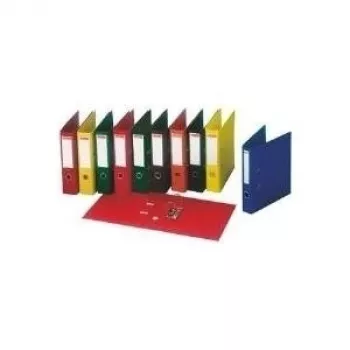DYMO Esselte standaard archiefmap A4 75 mm gesorteerd PP-gelamineerd karton (10-pack) 624177