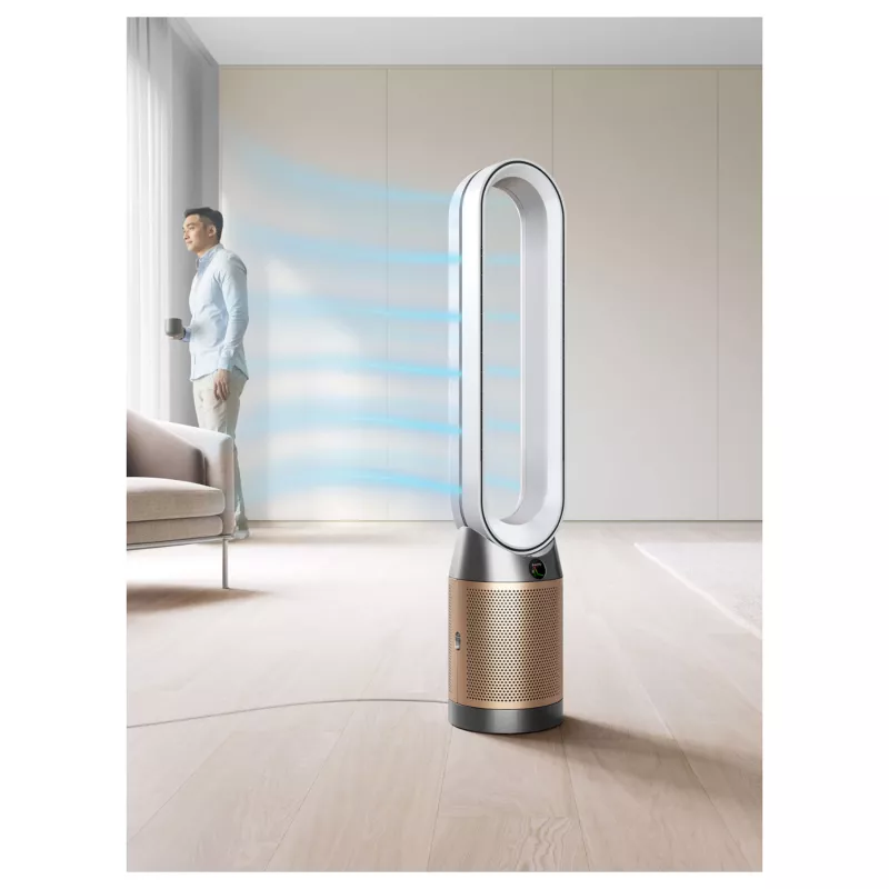Dyson Purifier Cool PC2 De-NOx goud