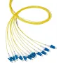 EFB Elektronik Fiber Pigtail LC 62.5/125 OM1 Blauw 2m