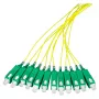 EFB Elektronik FTTH Pigtail SC/APC OS2 G.657.A2 9/125µm Geel 2m