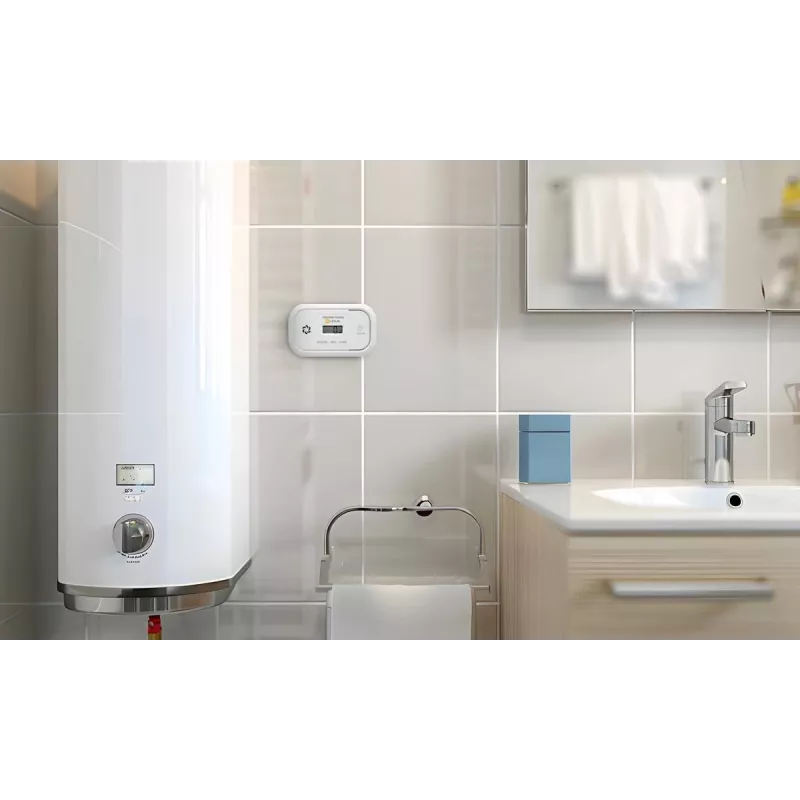 EL-HOME CD-17A2v2300/B koolmonoxidemelder met LCD-display en 9V-noodstroomvoorziening