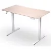 ENDORFY Atlas S elektrisch in hoogte verstelbaar bureau licht hout 120x60 cm