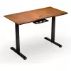 ENDORFY Atlas S Electric in hoogte verstelbaar bureau walnoot/zwart 120x60 cm