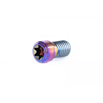 Ethic Clamp Titanium Schroef Raw