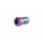 Ethic Clamp Titanium Schroef Raw
