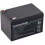Europower EP12-12 12V 12Ah AGM Batterij