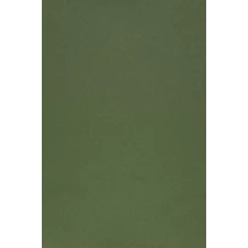 Evelatus Universele Color Shinning film voor screen cutter legergroen