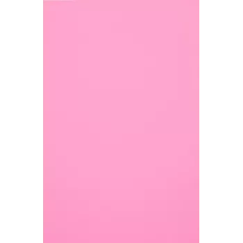 Evelatus Universele Color Shinning Film voor Screen Cutter lichtroze (50 vellen)
